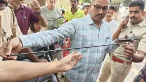 Thane forest division announces Rs 25,000 reward in Yeoor monkey attack case