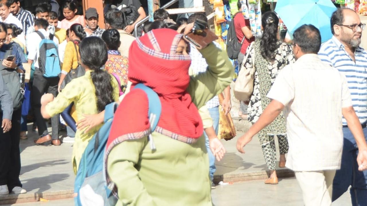 Mumbai weather: IMD issues yellow alert for city, Thane, Palghar and Raigad; predicts hot and humid conditions