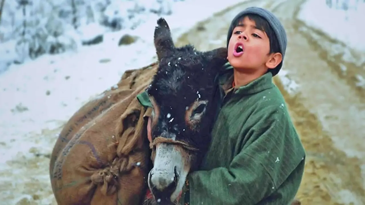 Tahaan (2008)
Set in Jammu and Kashmir, the film revolved around a young boy played by Purav Bhandare, who meets a terrorist who gives him a grenade to fulfil a task.
