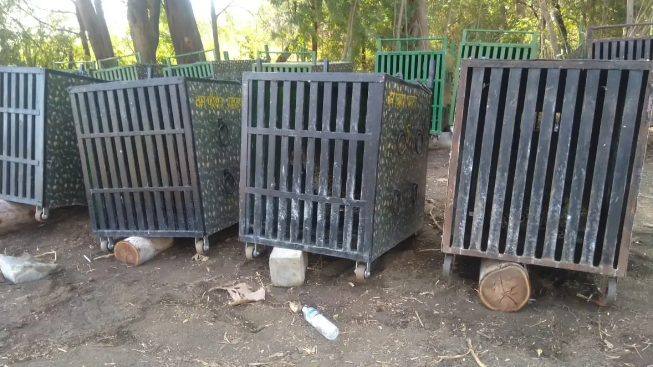 Wildlife enthusiast alleges prolonged confinement of 21 leopards in Ahilyanagar