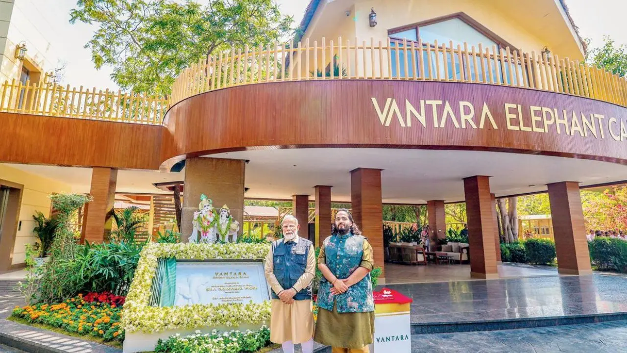 Maharashtra to shift 50 leopards to Vantara wildlife centre in Gujarat