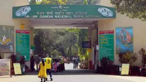 Mumbai LIVE: SGNP land encroachment row escalates