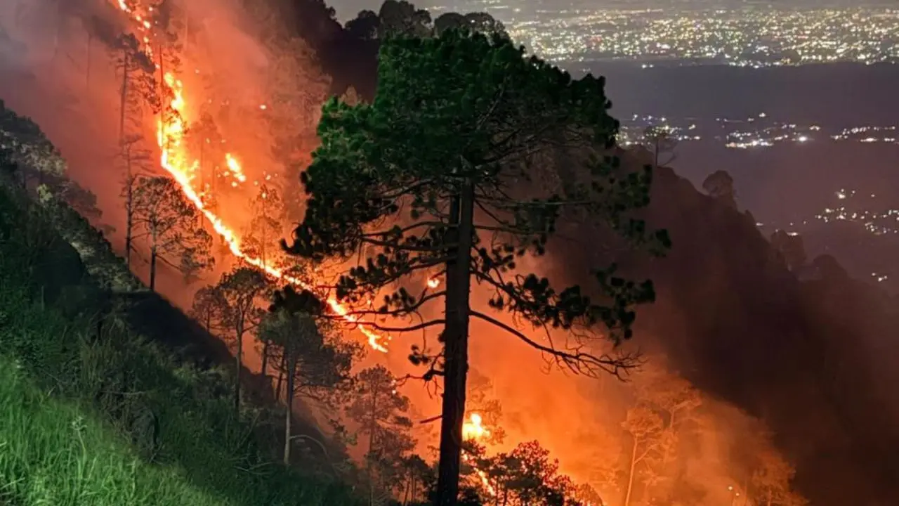 Firefighters and security personnel worked through difficult terrain and dry weather conditions as forest fires spread rapidly across parts of Himachal Pradesh. PICS/PTI Firefighters and security personnel worked through difficult terrain and dry weather conditions as forest fires spread rapidly across parts of Himachal Pradesh. PICS/PTI