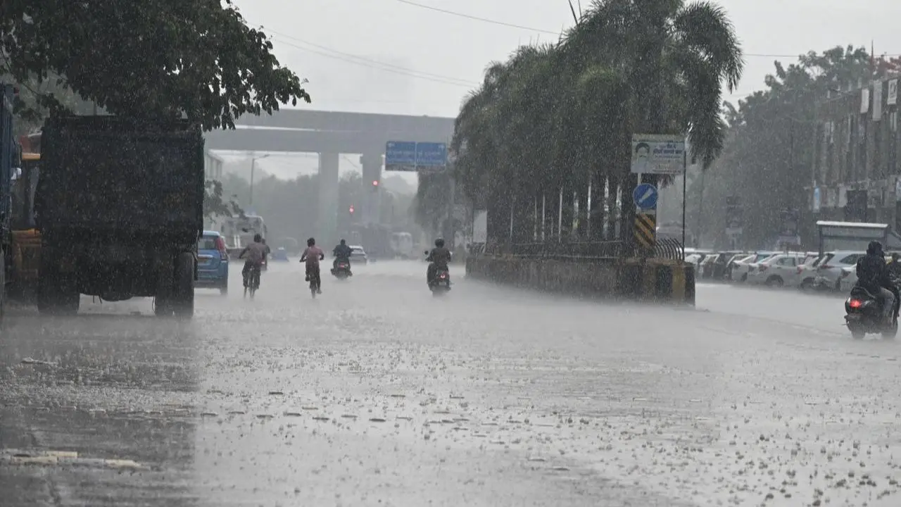 Traffic slows on the Sion–Panvel Highway as rain and a minor accident cause congestion during morning rush hours Traffic slows on the Sion–Panvel Highway as rain and a minor accident cause congestion during morning rush hours
