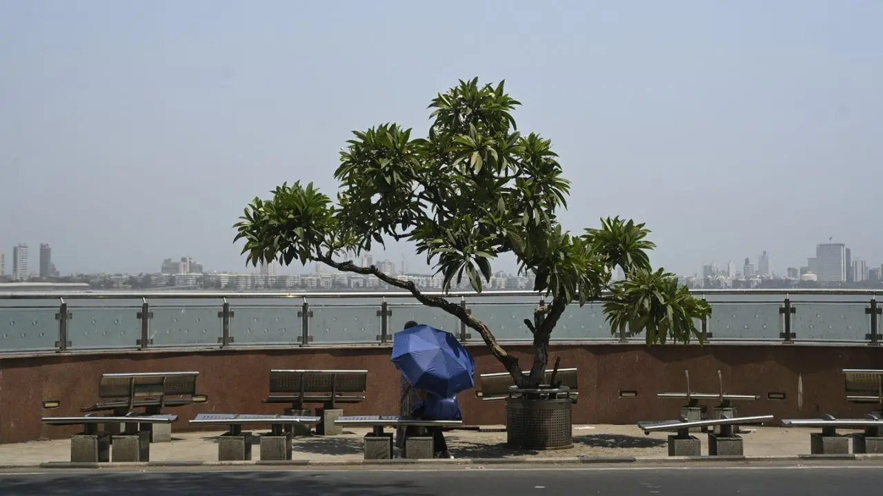 Mumbai on Monday, May 11, experienced a hot climate with humidity levels climbing up to more than 60 per cent. Pics/Ashish Raje