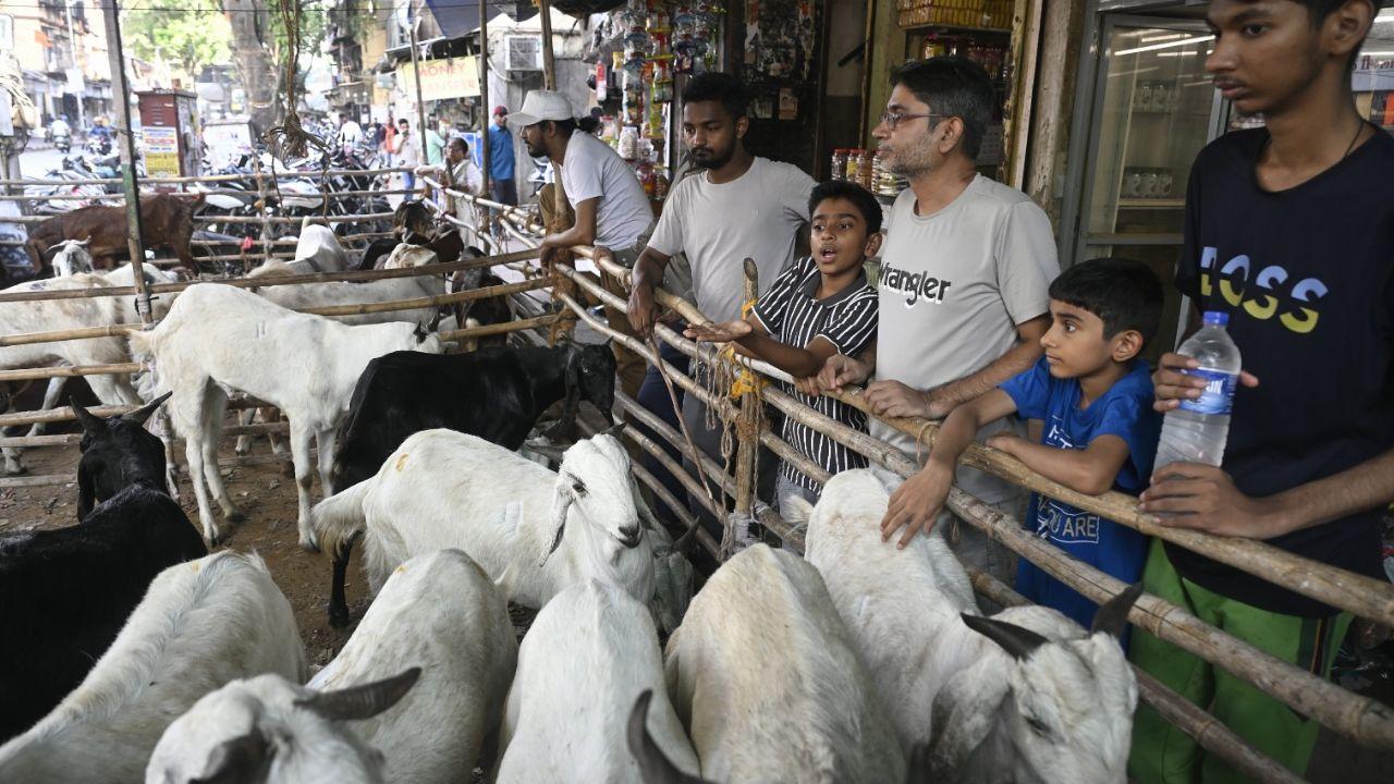 Traders and buyers gathered at the seasonal goat market in Byculla as preparations intensify for Eid al-Adha, one of the most significant festivals in Islam Traders and buyers gathered at the seasonal goat market in Byculla as preparations intensify for Eid al-Adha, one of the most significant festivals in Islam