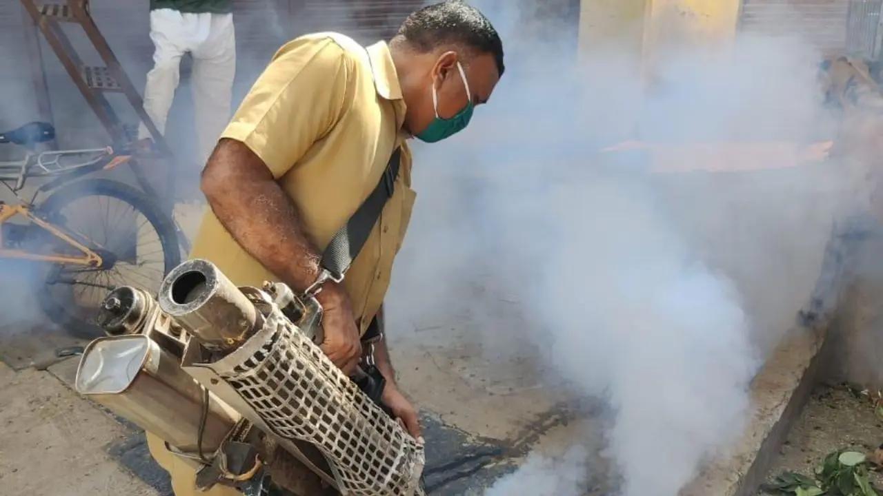 Officials said a total of 22,800 area visits were conducted as part of the drive, aimed at preventing the spread of vector-borne diseases such as dengue and malaria ahead of the monsoon season Officials said a total of 22,800 area visits were conducted as part of the drive, aimed at preventing the spread of vector-borne diseases such as dengue and malaria ahead of the monsoon season