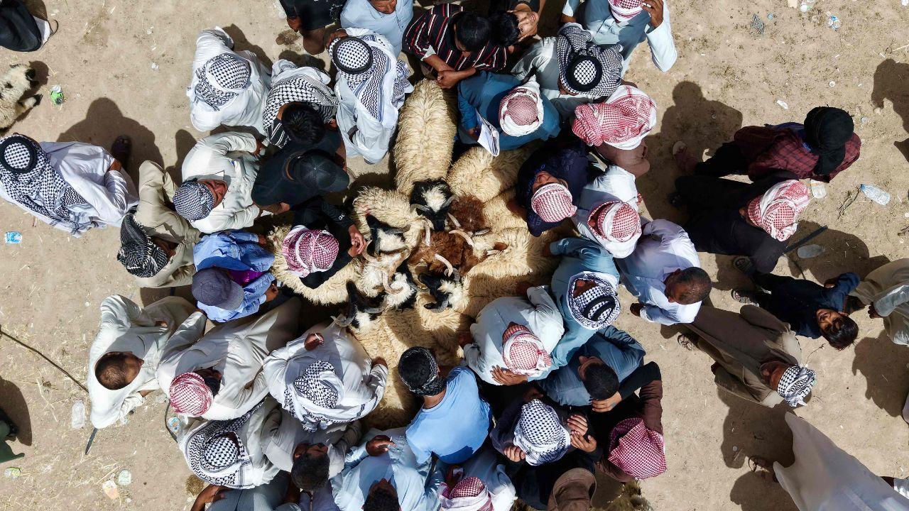 Ahead of Bakrid, large livestock markets are set up across cities and towns where goats, sheep, camels and other animals are brought for sale Ahead of Bakrid, large livestock markets are set up across cities and towns where goats, sheep, camels and other animals are brought for sale