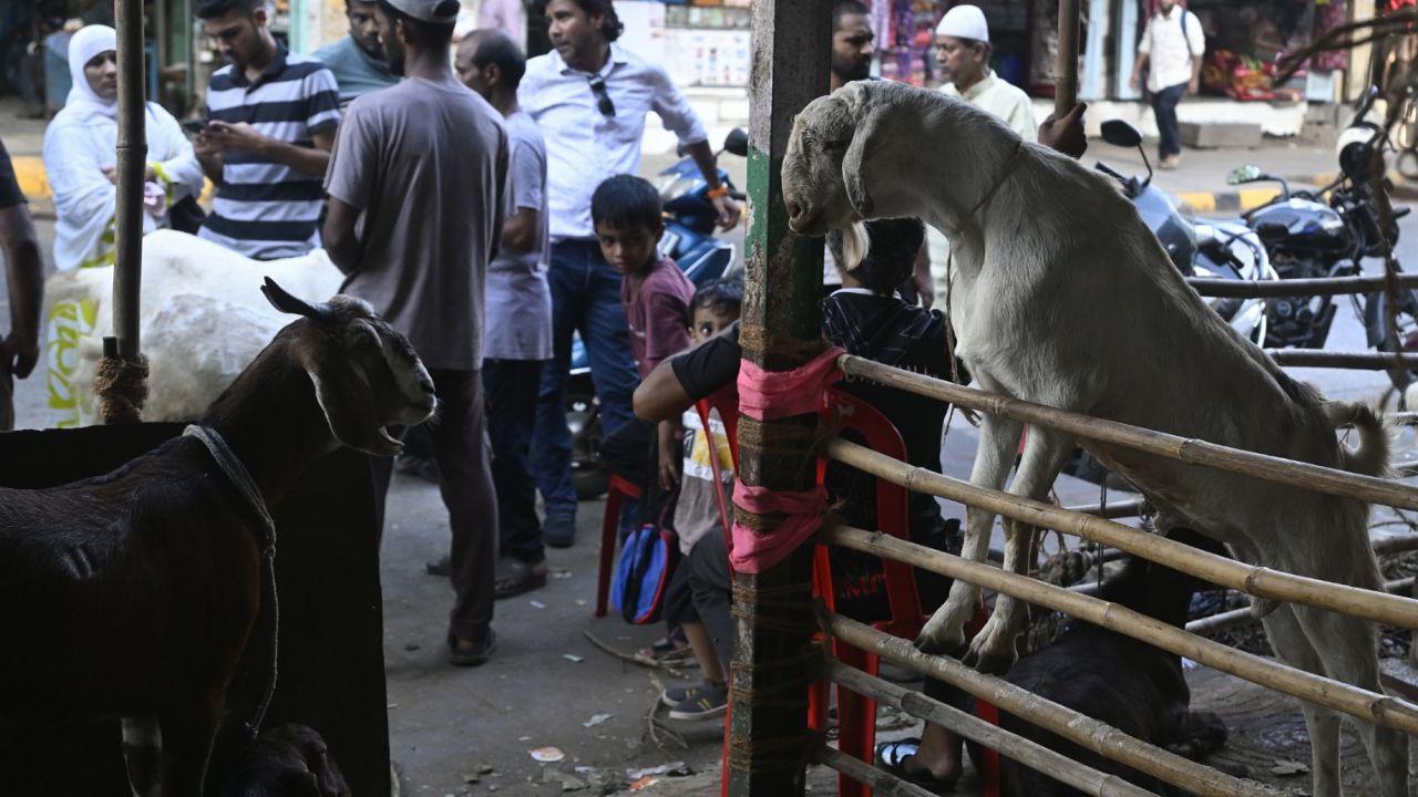 Vendors display goats of various breeds and sizes outside Chist Hindustani Masjid days before Bakra Eid celebrations begin across the country Vendors display goats of various breeds and sizes outside Chist Hindustani Masjid days before Bakra Eid celebrations begin across the country