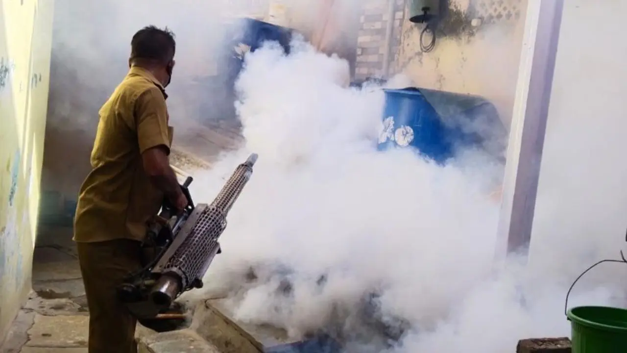 BMC health teams also inspected residential areas and remove stagnant water sources to prevent breeding of dengue and malaria-causing mosquitoes BMC health teams also inspected residential areas and remove stagnant water sources to prevent breeding of dengue and malaria-causing mosquitoes
