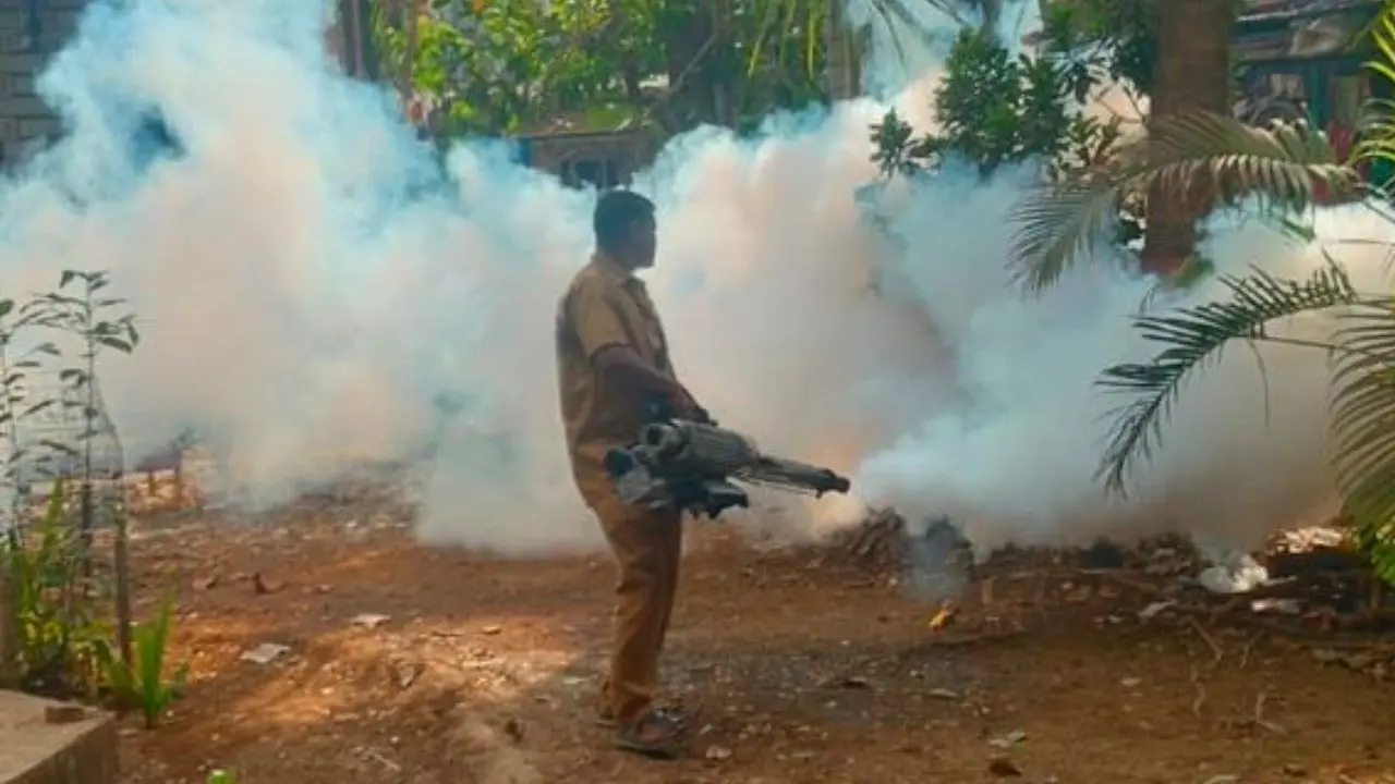 As per BMC, "Over 30 lakh houses have been fumigated by BMC teams between January and May 2026 during the citywide mosquito control initiative" As per BMC, "Over 30 lakh houses have been fumigated by BMC teams between January and May 2026 during the citywide mosquito control initiative"
