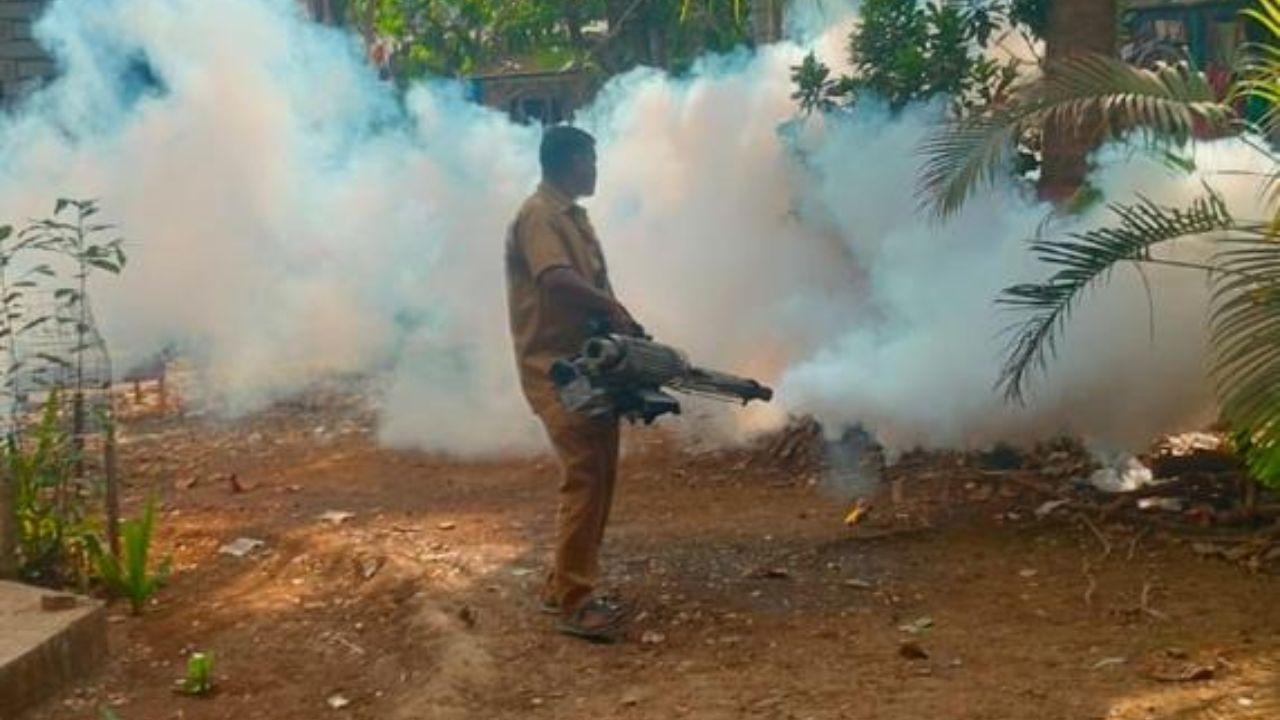 According to the civic body, the Insecticide Department inspected 32,51,623 households across all 26 administrative wards between January 2026 and 27 May 2026 According to the civic body, the Insecticide Department inspected 32,51,623 households across all 26 administrative wards between January 2026 and 27 May 2026