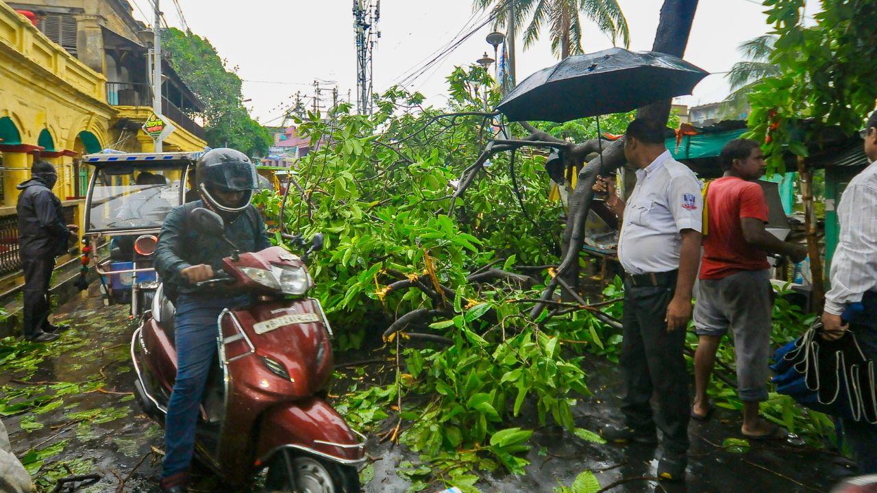 Locals document storm damage as an uprooted tree obstructs traffic movement on a busy Kolkata street during heavy rainfall Locals document storm damage as an uprooted tree obstructs traffic movement on a busy Kolkata street during heavy rainfall