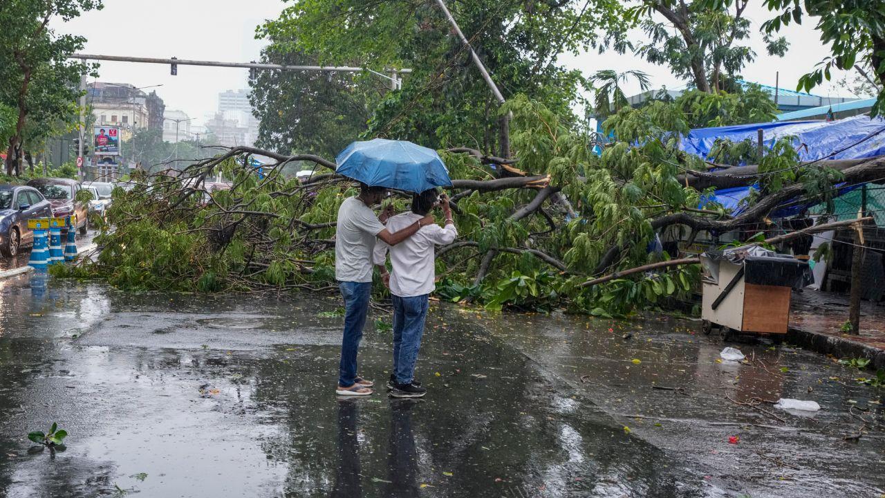 Residents in Kolkata capture images of an uprooted tree blocking a major road following severe weather conditions and strong winds Residents in Kolkata capture images of an uprooted tree blocking a major road following severe weather conditions and strong winds