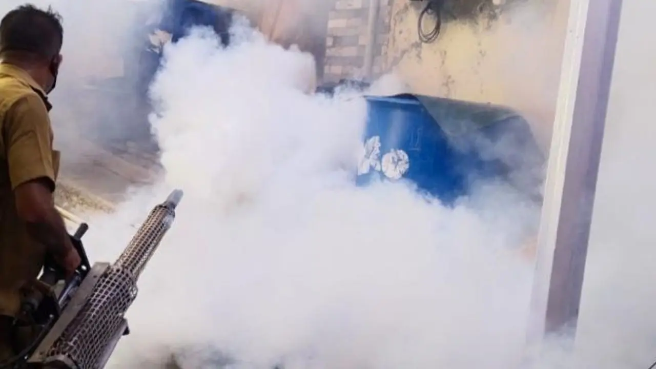 Municipal staff spray insecticides in public spaces and residential pockets to reduce the spread of mosquito-borne infections in the city Municipal staff spray insecticides in public spaces and residential pockets to reduce the spread of mosquito-borne infections in the city