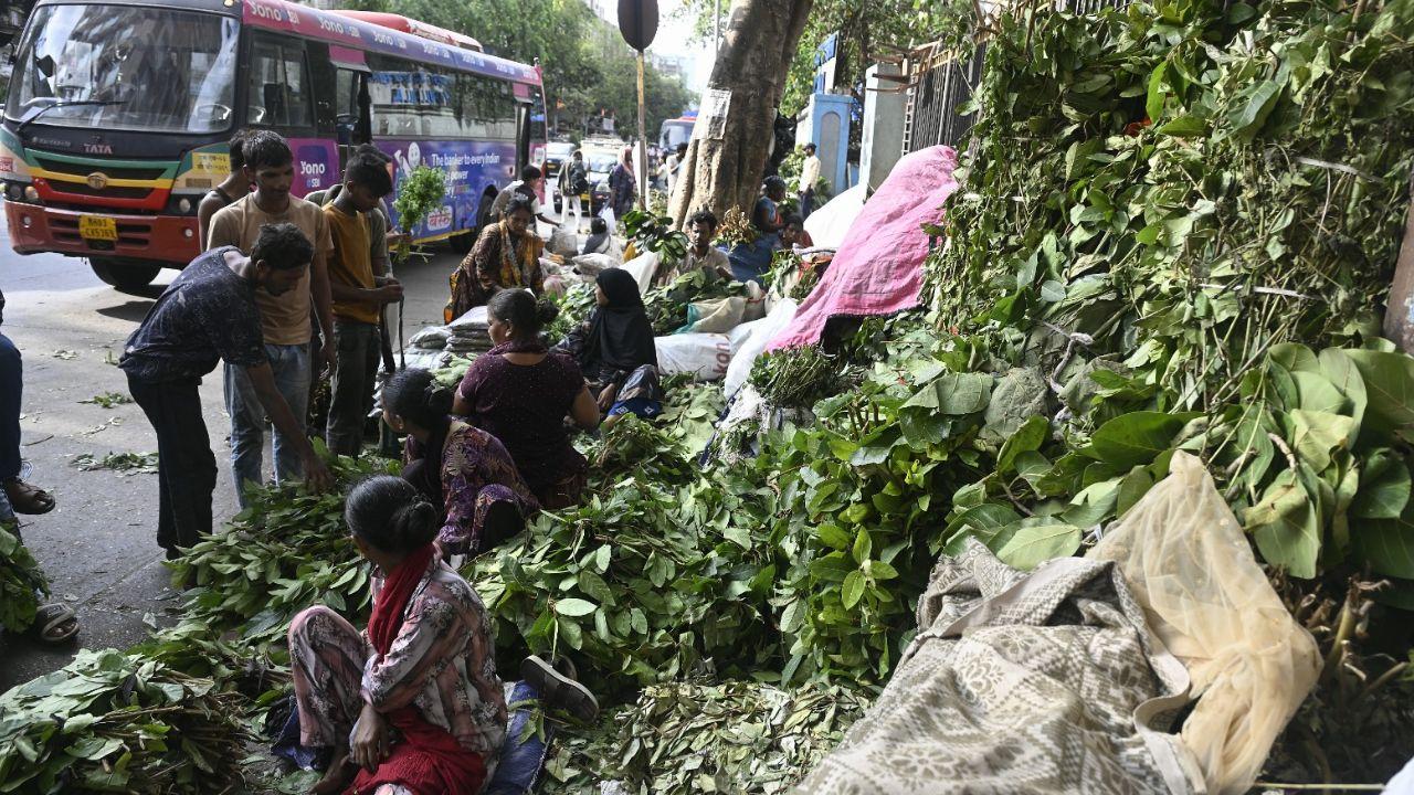 Vendors await customers at the vibrant Eid livestock bazaar near Chist Hindustani Masjid in Mumbai ahead of Bakra Eid festivities Vendors await customers at the vibrant Eid livestock bazaar near Chist Hindustani Masjid in Mumbai ahead of Bakra Eid festivities