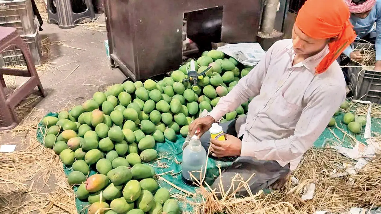 A trader using chemical. PICS/BY SPECIAL ARRANGEMENT