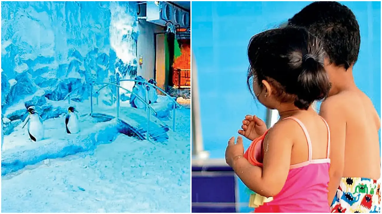 From activities with snow to pottery, there is a lot to explore. Photo Courtesy: File pics