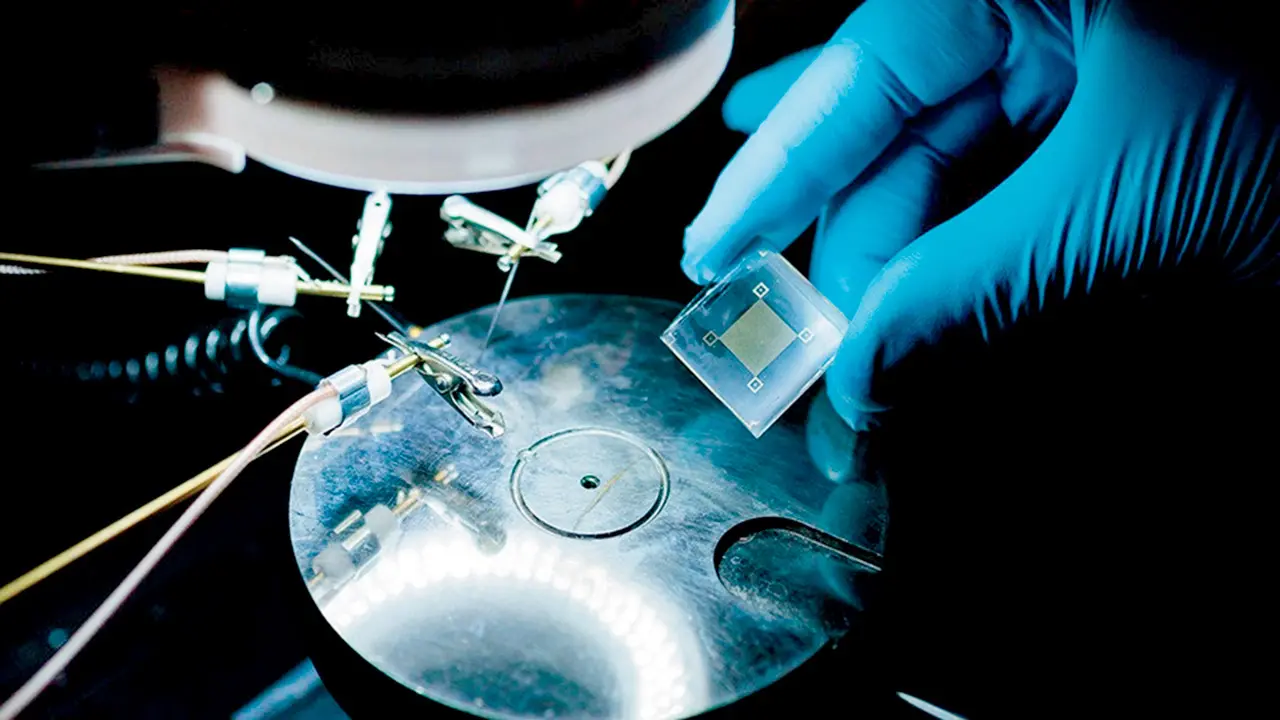 New wearable patch can detect dangerous body signals in milliseconds The new skin-like computing patch can analyse health data in real time. PIC COURTESY/University of Chicago