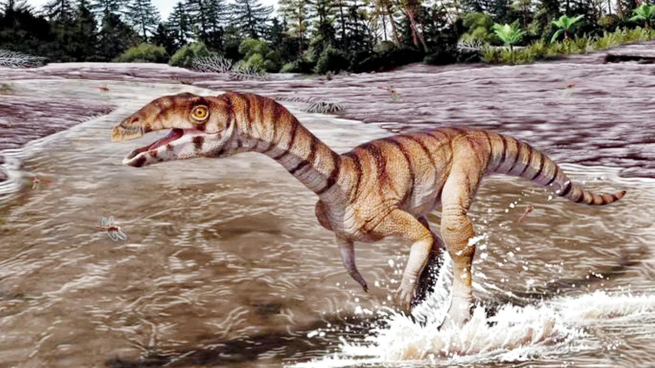 ‘Witch Crocodile’ fossil unearthed in New Mexico reveals bizarre prehistoric predator An artist’s representation of Labrujasuchus expectatus. PIC COURTESY/Jorge Gonzalez