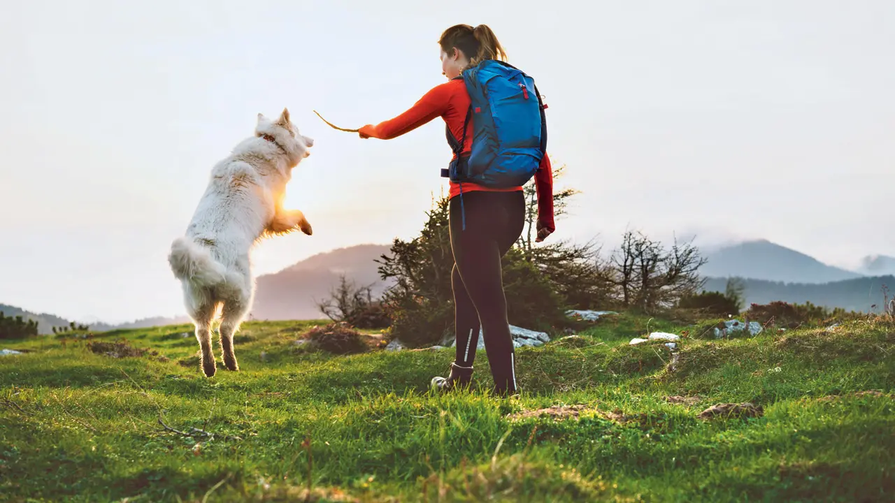 Come together with other animal lovers in Mumbai to grieve the loss of your pet A pet parent spends quality time with her dog on a walk. Representation pics/Istock
