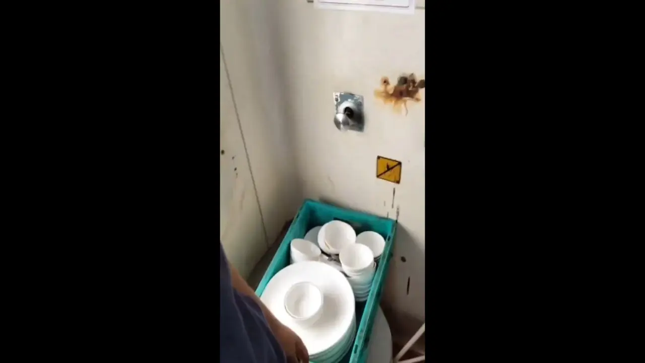 FSSAI seeks report from IRCTC after viral video shows utensils allegedly washed in Duronto Express toilet The notice was issued after a video circulating on social media allegedly showed catering staff or contractual personnel washing utensils inside a train toilet. Pic/X
