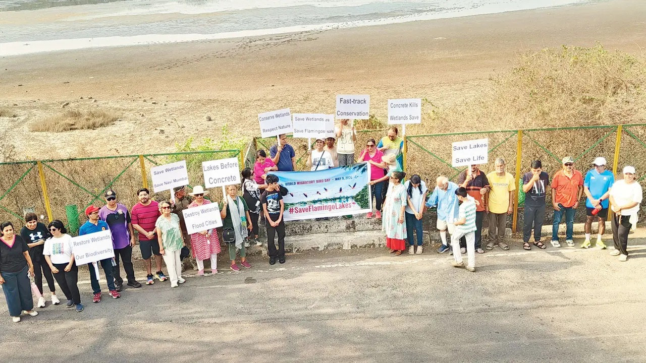 Activists mark World Migratory Bird Day. Pic/Special Arrangement 