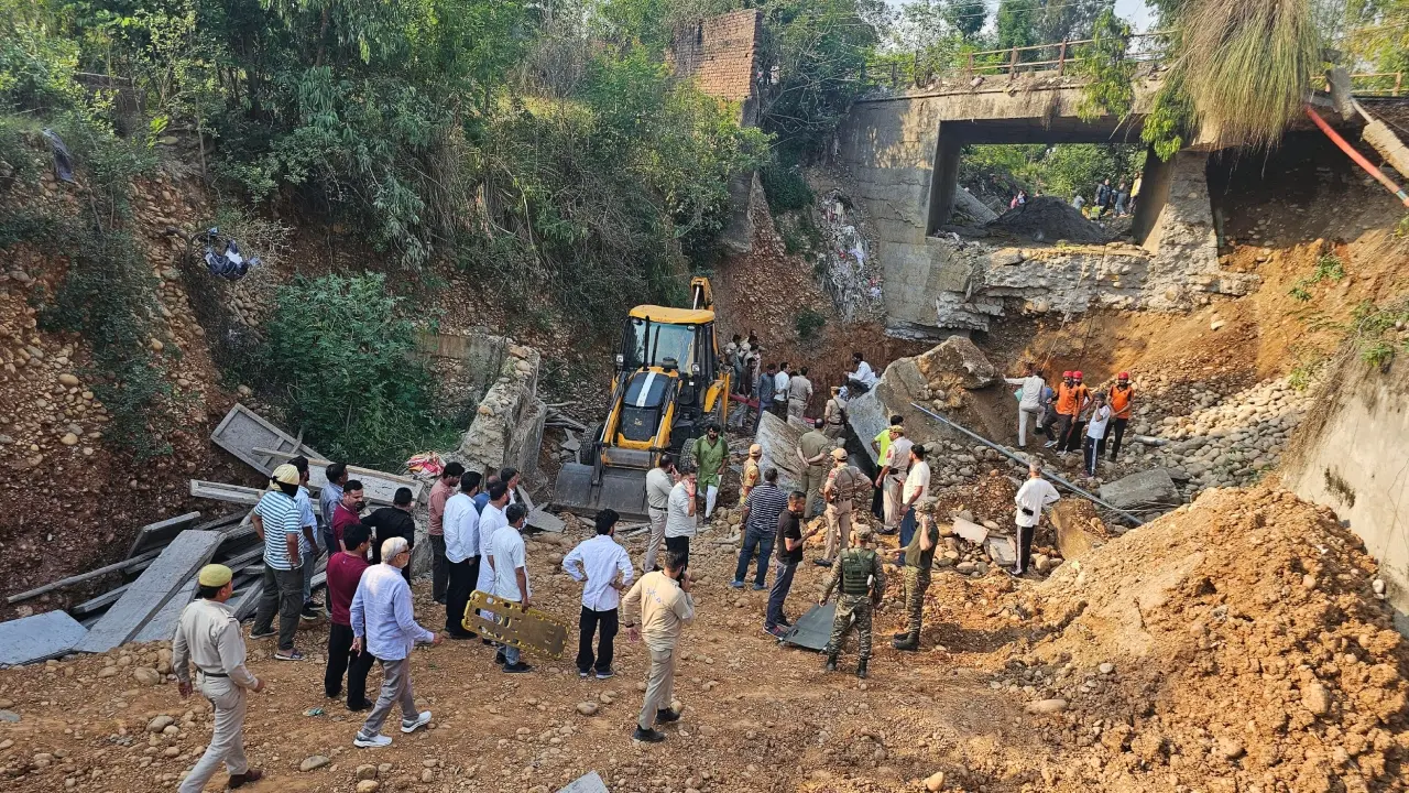 Authorities have closed the road link following the collapse of the portion of the bridge.
