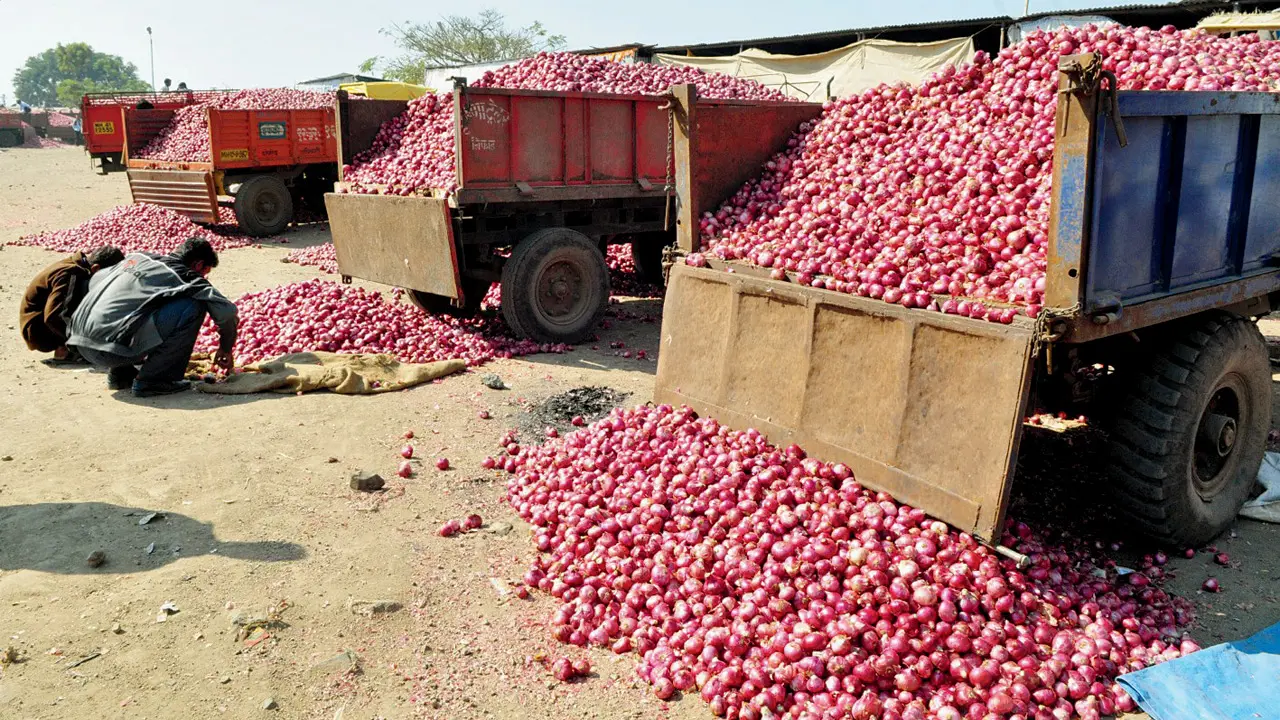 Maharashtra onion price crisis likely to reach Delhi as leaders seek Amit Shah’s intervention The state government has announced a minimum assured procurement price of Rs 1580 per quintal as a relief measure for onion farmers. Representation Pic/Nimesh Dave