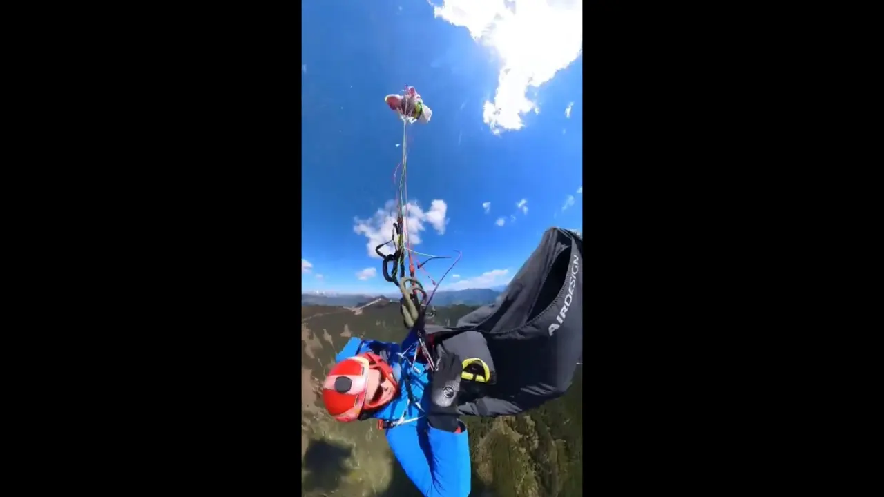 Caught on cam: Austrian paraglider’s miraculous escape after being hit by plane mid-air As the plane struck her canopy, Sabrina can be heard screaming in panic as she immediately lost control and began spiraling violently towards the ground. PIC/X