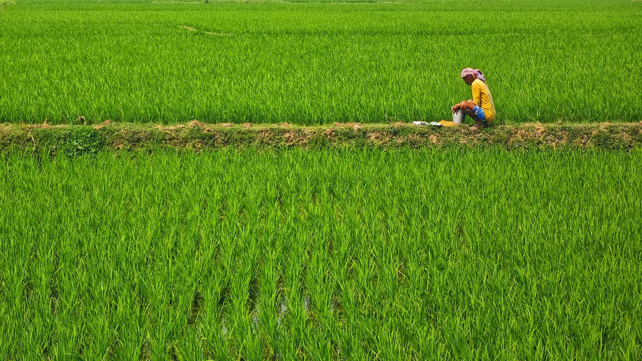 Image for representational purpose only. Photo Courtesy: Pexels