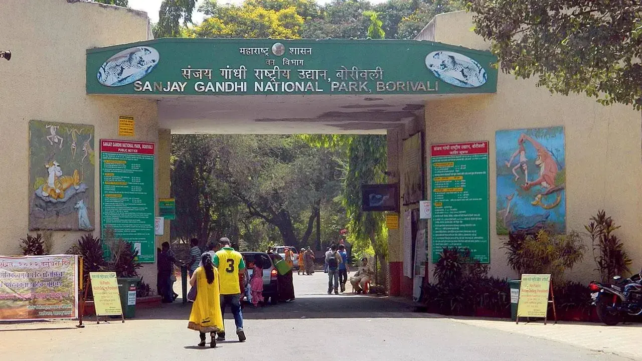 Environmental groups oppose renaming of Sanjay Gandhi National Park, proposed university project The groups stated that the name “Sanjay Gandhi National Park” carries historical, environmental and social significance for Mumbai residents. File Pic