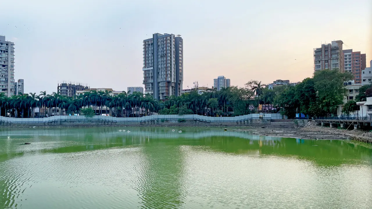 Bandra Talao rejuvenation work finally gathers pace after delays Ninety per cent of the dewatering of the talao has been completed. Pic/Madhulika Ram Kavattur