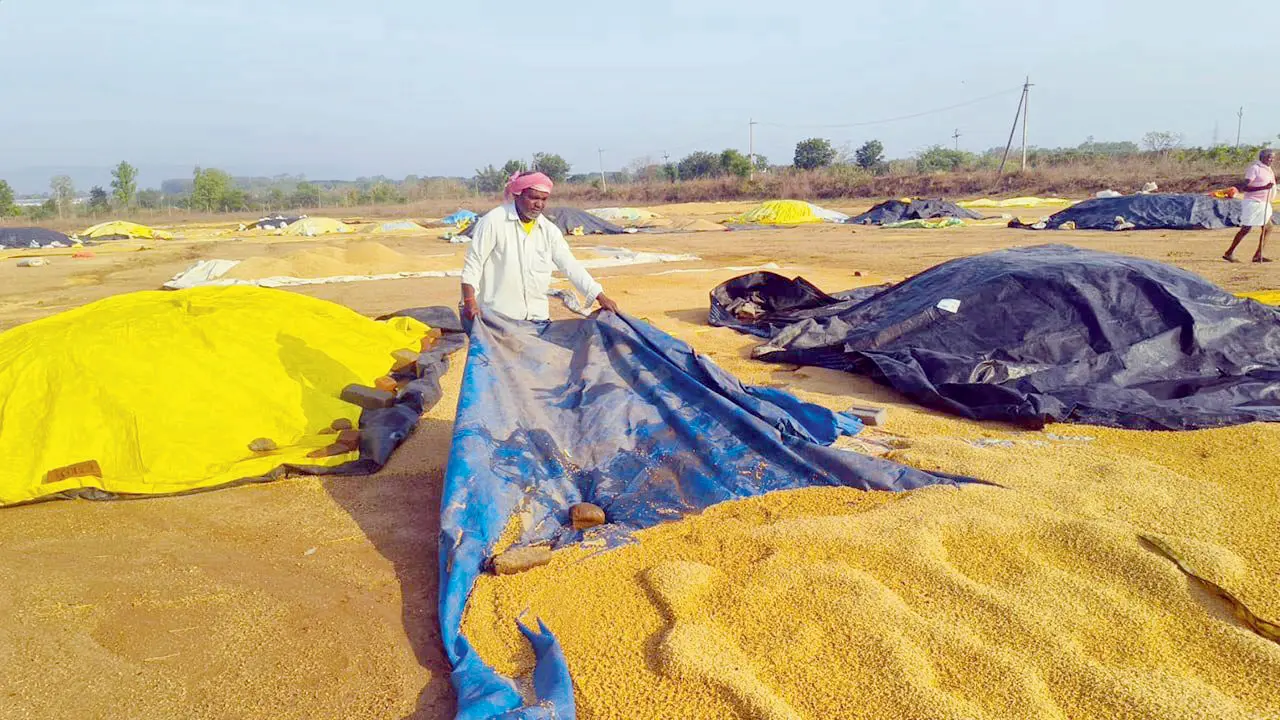 The farmers were taking shelter amid heavy rainfall. PIC/X/@binabdatnews