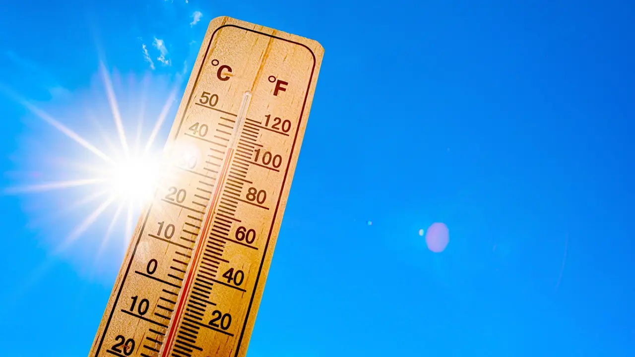 IMD issues yellow alert for Delhi as temperatures likely to touch 46 degrees Representational Image