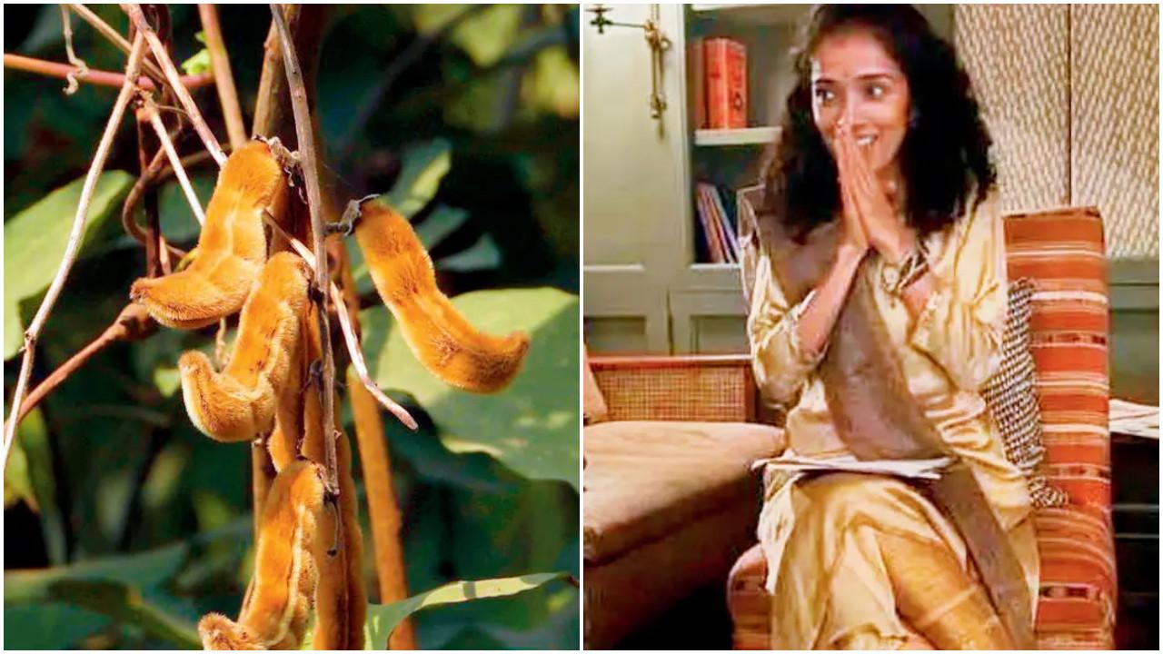 There is a lot to do in Mumbai this weekend, and here's your complete guide. Photos Courtesy: File pics There is a lot to do in Mumbai this weekend, and here's your complete guide. Photos Courtesy: File pics