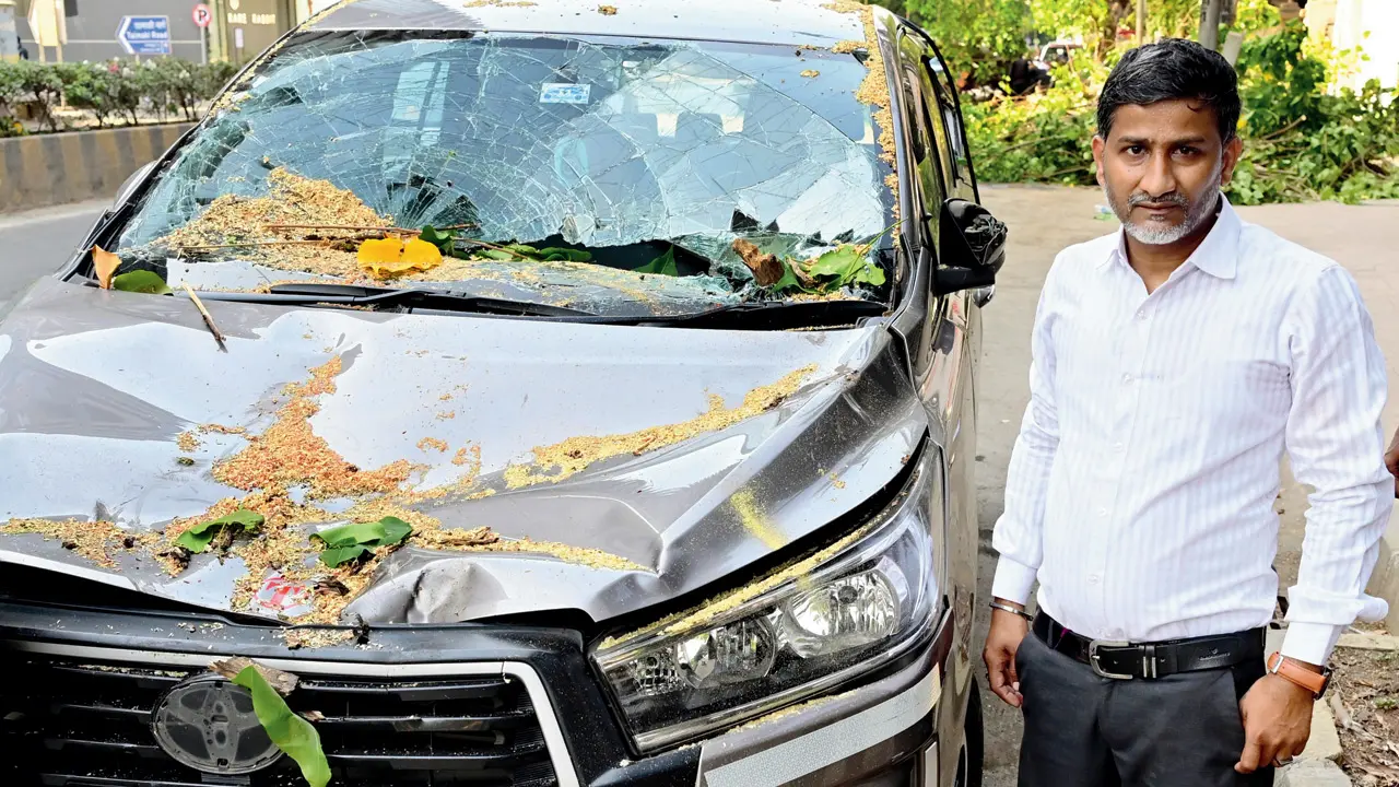 Miracle on Linking Road as cab escapes crushing fate after Peepal tree collapse Tourist cab driver Shekhar Anand Lokhande stands beside his damaged vehicle after surviving the tree collapse incident in Santacruz West. Pics/Shadab Khan