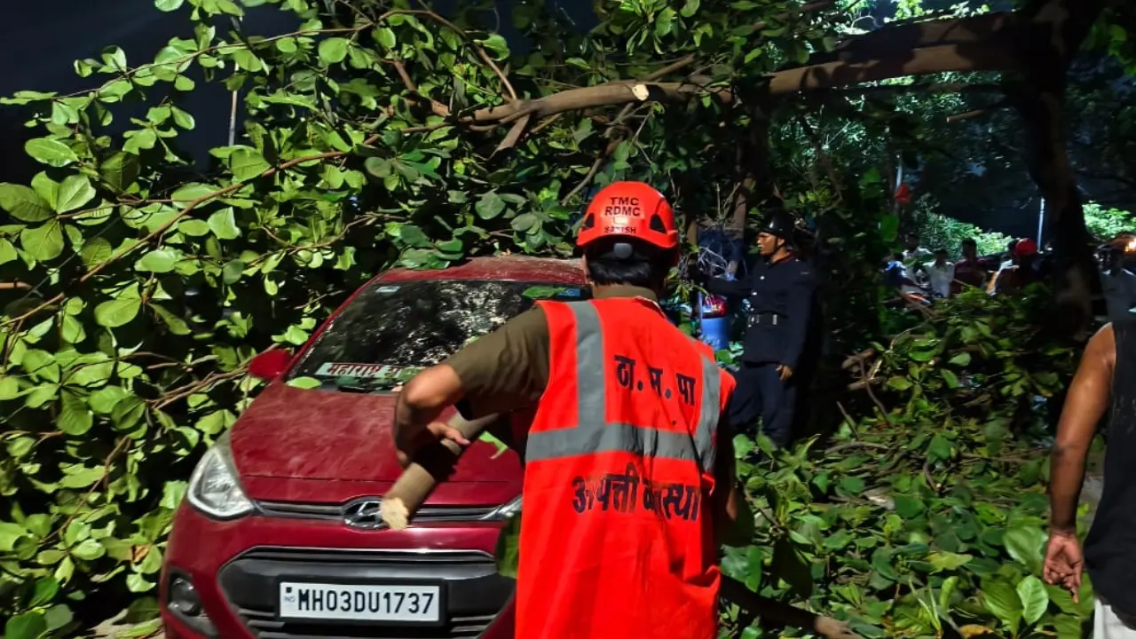 The damaged vehicles were identified as a Hyundai Xcent bearing registration number MH 03 DU 1737, owned by Ganesh Kadam, and a Maruti Suzuki Ertiga bearing registration number MH 04 LY 3538, owned by Bhushan Mangesh Jadhav.