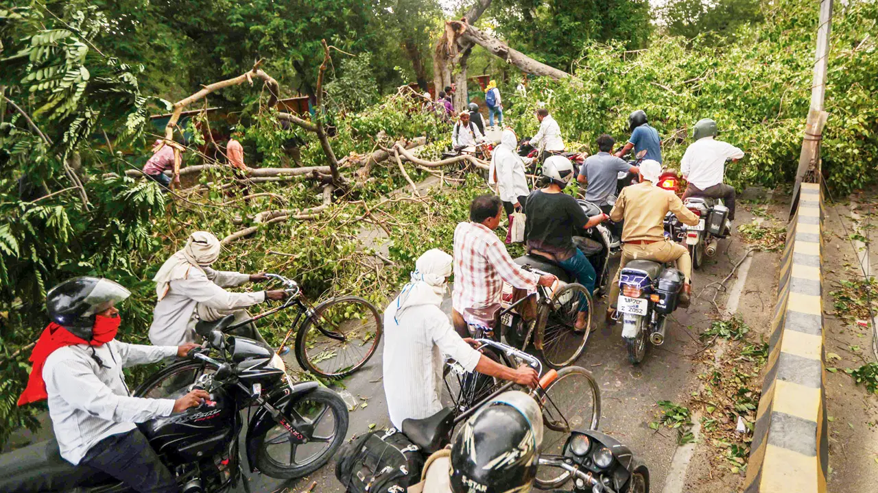 At least 98 houses were damaged and 130 livestock killed across the state. PIC/PTI