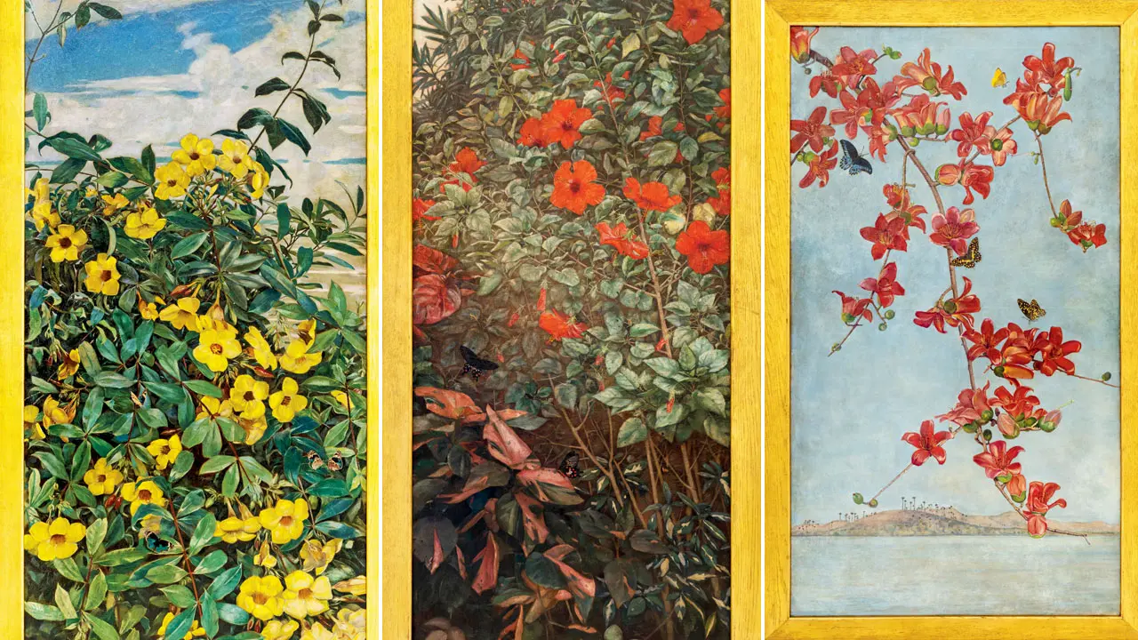 Rare exhibition revives the legacy of artist who painted Bombay in bloom Golden Trumpet (Allamanda cathartica), c.1930s. Pics Courtesy/Subcontinent Gallery