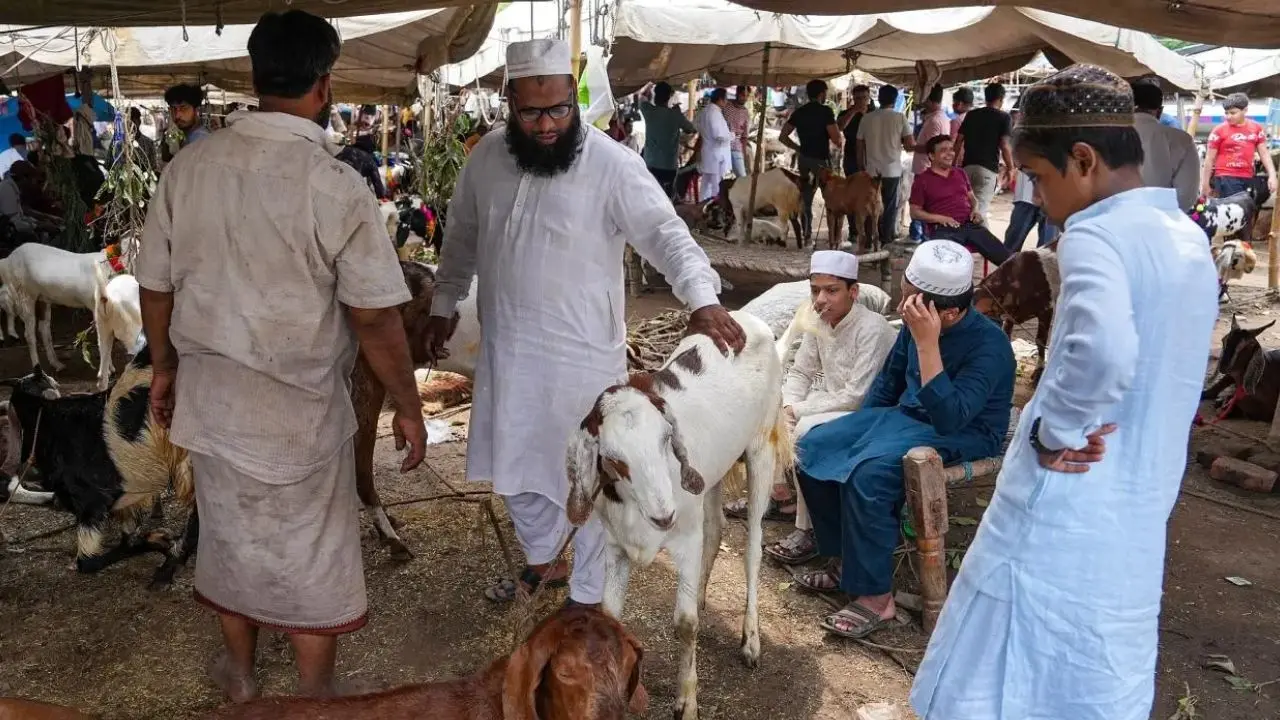 Mumbai Mayor, Kirit Somaiya demand ban on 'Bakrid Qurbani' in housing societies and chawls The leaders urged the civic authorities to arrange a proper facility for animal sacrifice (Qurbani) on Bakri Eid. Representational pic