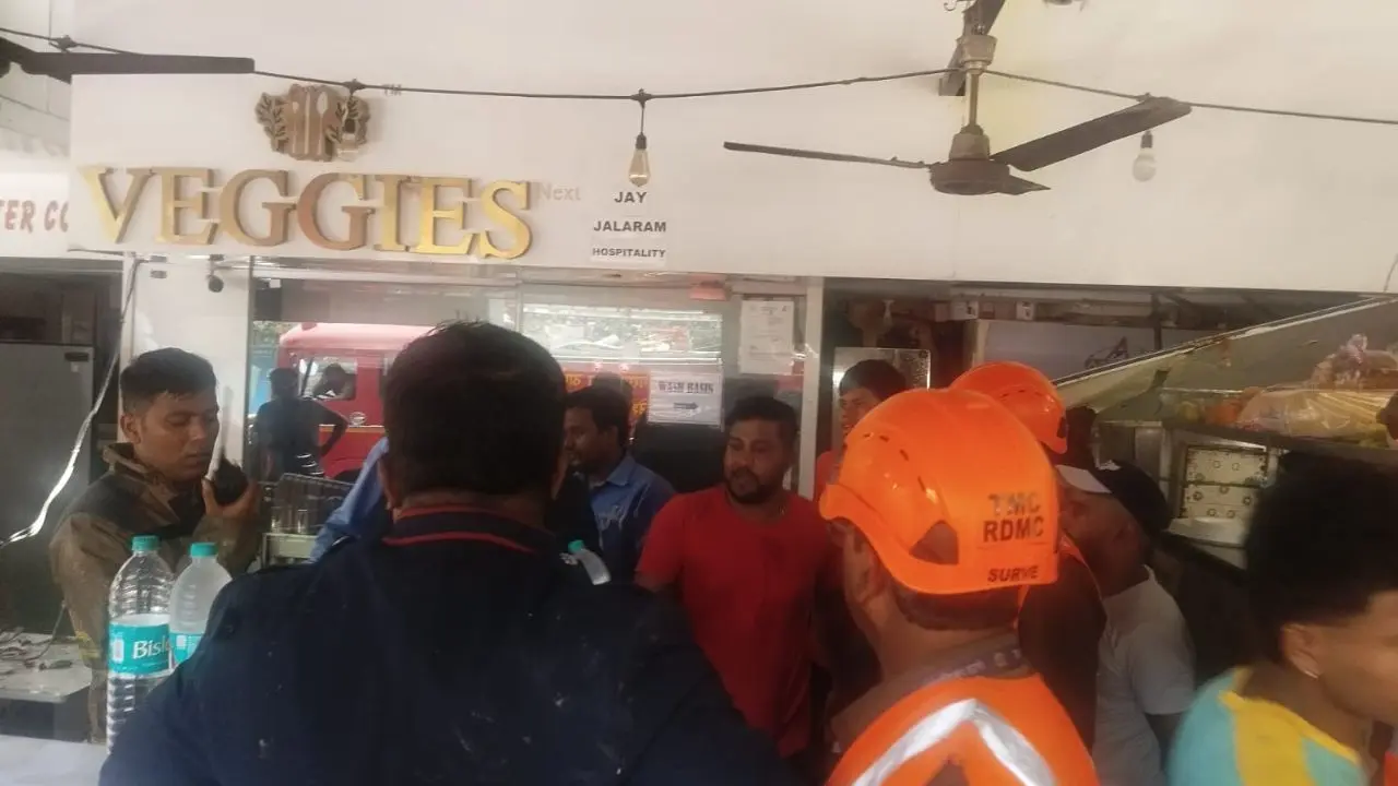Thane: Minor fire breaks out at Vegis Hotel in Thane, no injuries reported Minor fire breaks out at Vegis Hotel in Thane (Pic/Special arrangement)