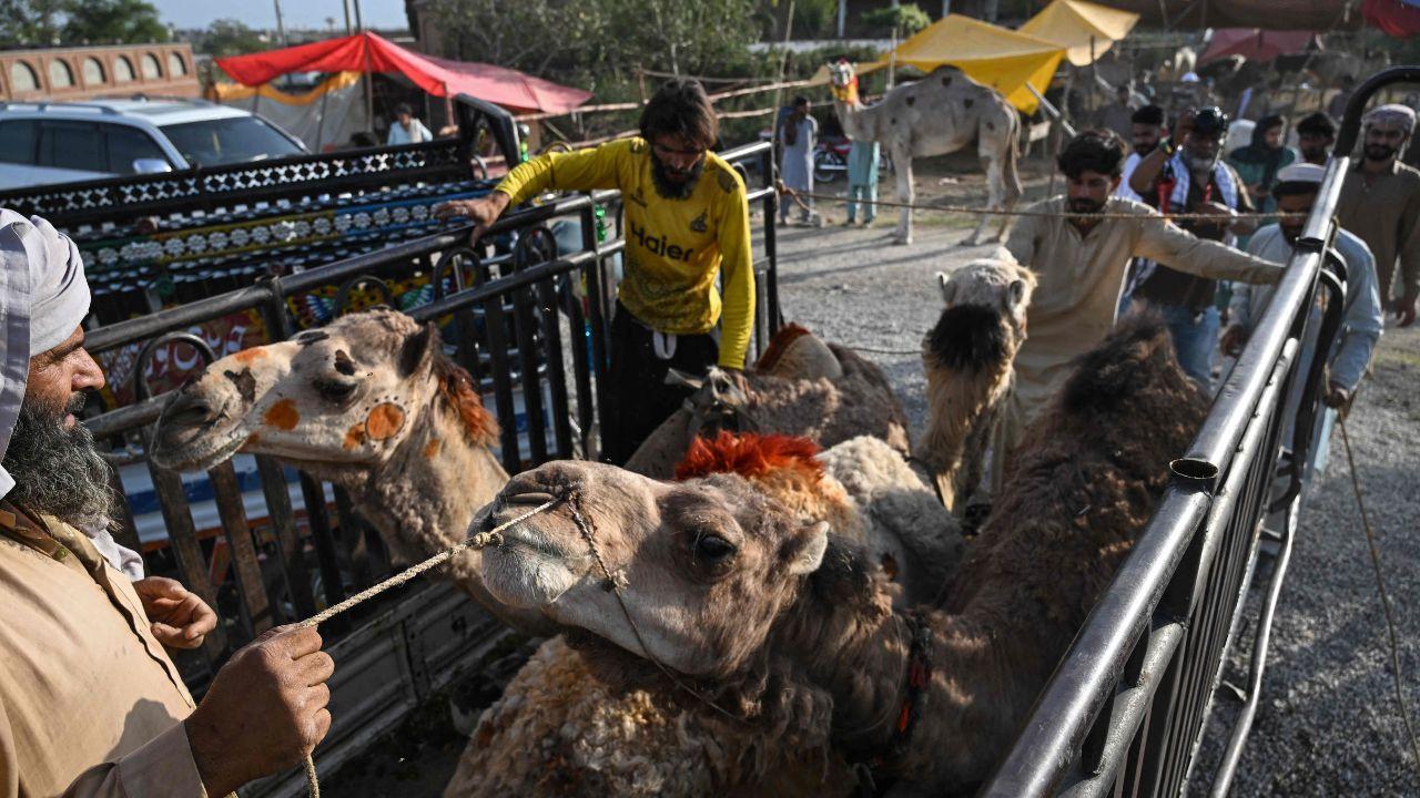 Islam observes two major Eid festivals, Eid-ul-Fitr, marking the end of the holy month of Ramadan, and Eid-ul-Adha, also known as the 'greater Eid', which coincides with the completion of the annual Hajj pilgrimage and the ritual of Qurbani, or sacrifice Islam observes two major Eid festivals, Eid-ul-Fitr, marking the end of the holy month of Ramadan, and Eid-ul-Adha, also known as the 'greater Eid', which coincides with the completion of the annual Hajj pilgrimage and the ritual of Qurbani, or sacrifice