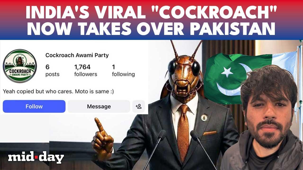 India’s Viral ‘Cockroach Janta Party’ Sparks Pakistan’s ‘Cockroach Awami Party’