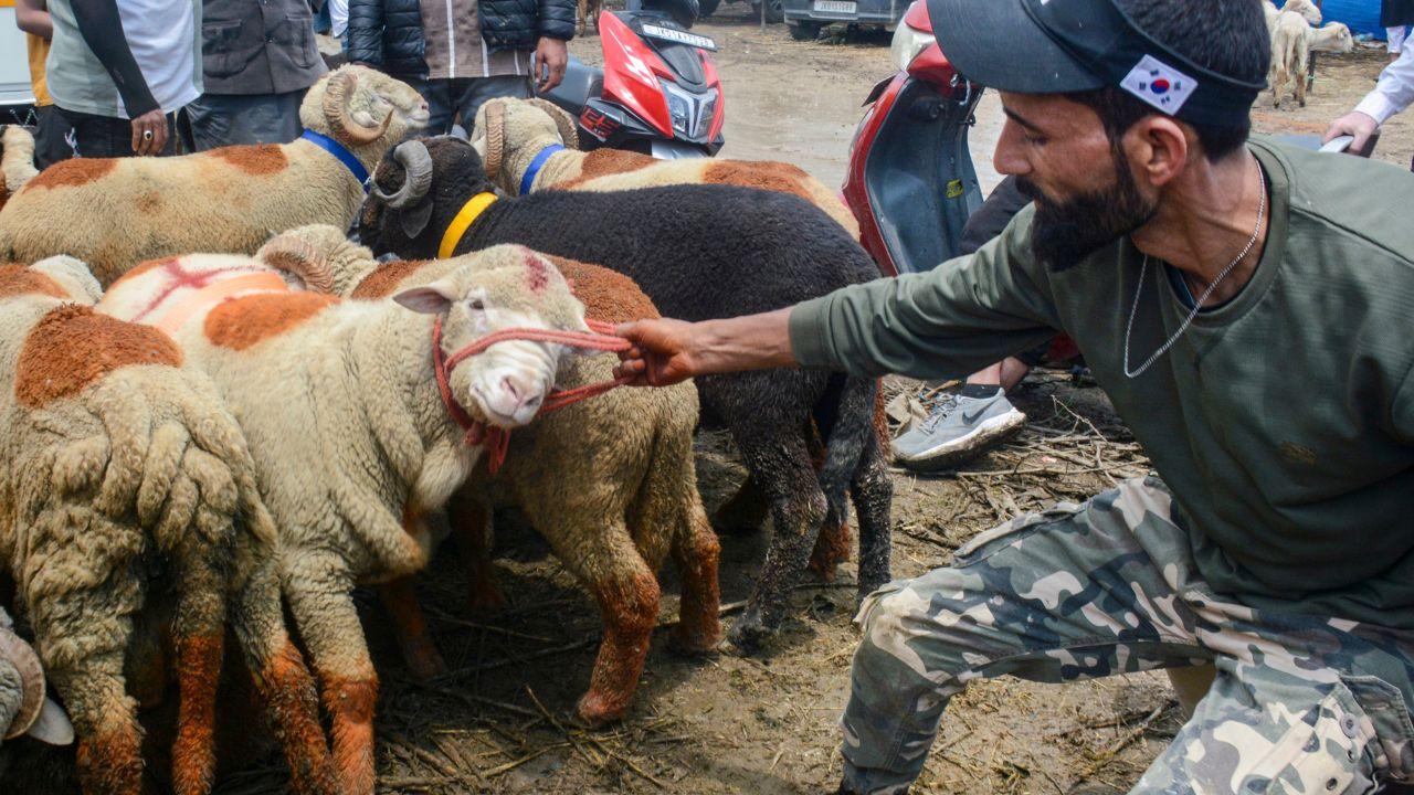 In Jammu and Kashmir, the government sanctioned a one-day casual leave for employees of the Union Territory on May 29 In Jammu and Kashmir, the government sanctioned a one-day casual leave for employees of the Union Territory on May 29