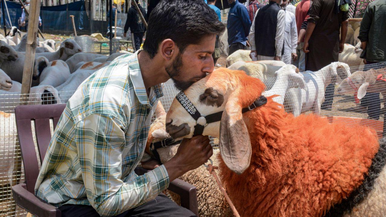 Eid Al-Adha is a holy festival of Muslims and is celebrated on the 10th day of Dhu al-Hijjah, the 12th month of the Islamic or lunar calendar. It marks the end of the annual Hajj pilgrimage Eid Al-Adha is a holy festival of Muslims and is celebrated on the 10th day of Dhu al-Hijjah, the 12th month of the Islamic or lunar calendar. It marks the end of the annual Hajj pilgrimage