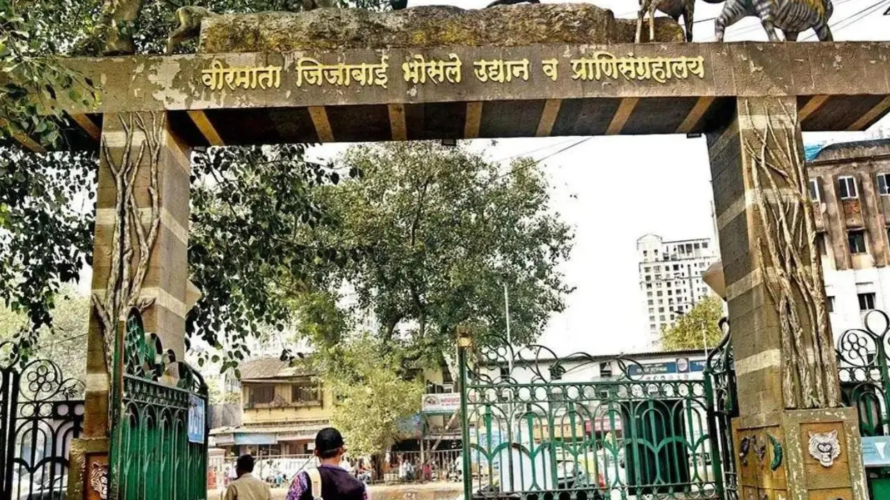 Mumbai's Byculla Zoo likely to ger two tigers. (File pic)