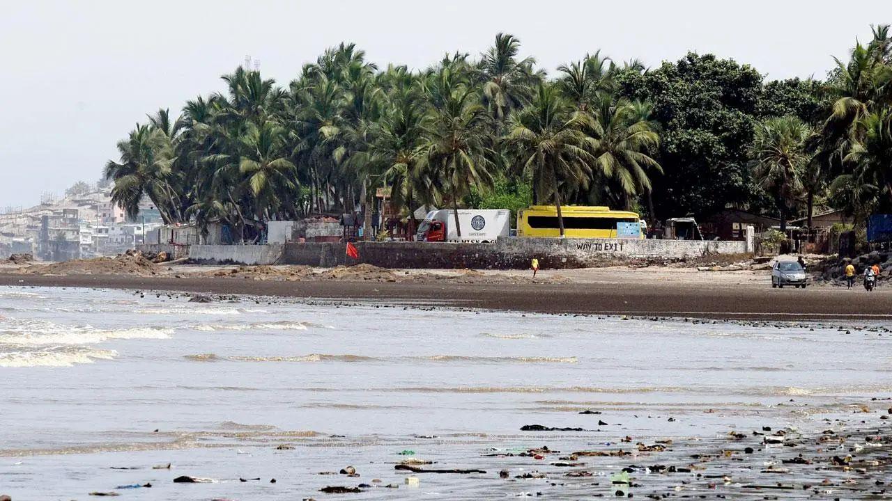 Gorai Beach. File/Representational Pic