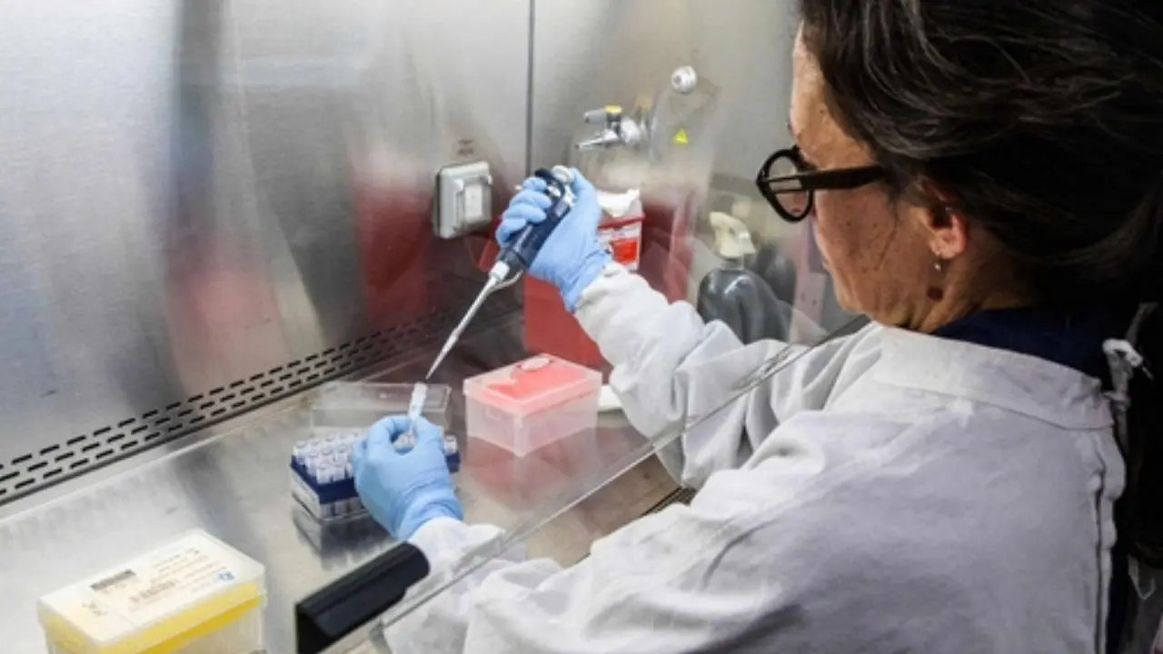 This handout picture released by Argentina's Health Ministry shows a scientist handling containers used to diagnose the Andes hantavirus. Photo/AFP