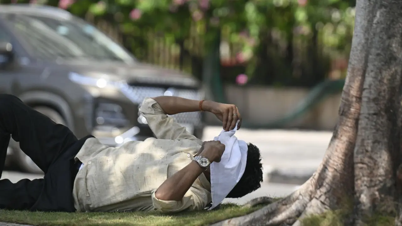 The study says actual human experience of heat will increasingly depend on neighbourhood-level urban conditions rather than citywide temperatures alone The study says actual human experience of heat will increasingly depend on neighbourhood-level urban conditions rather than citywide temperatures alone